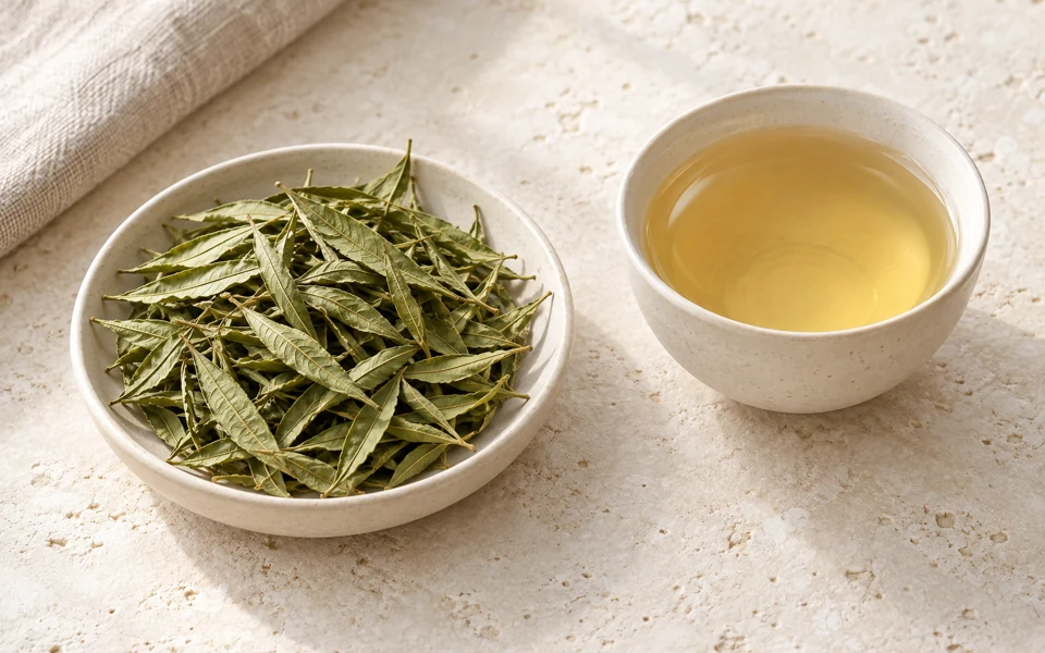 Lemon Verbena