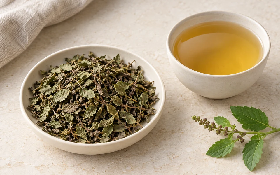 Tulsi (Holy Basil)